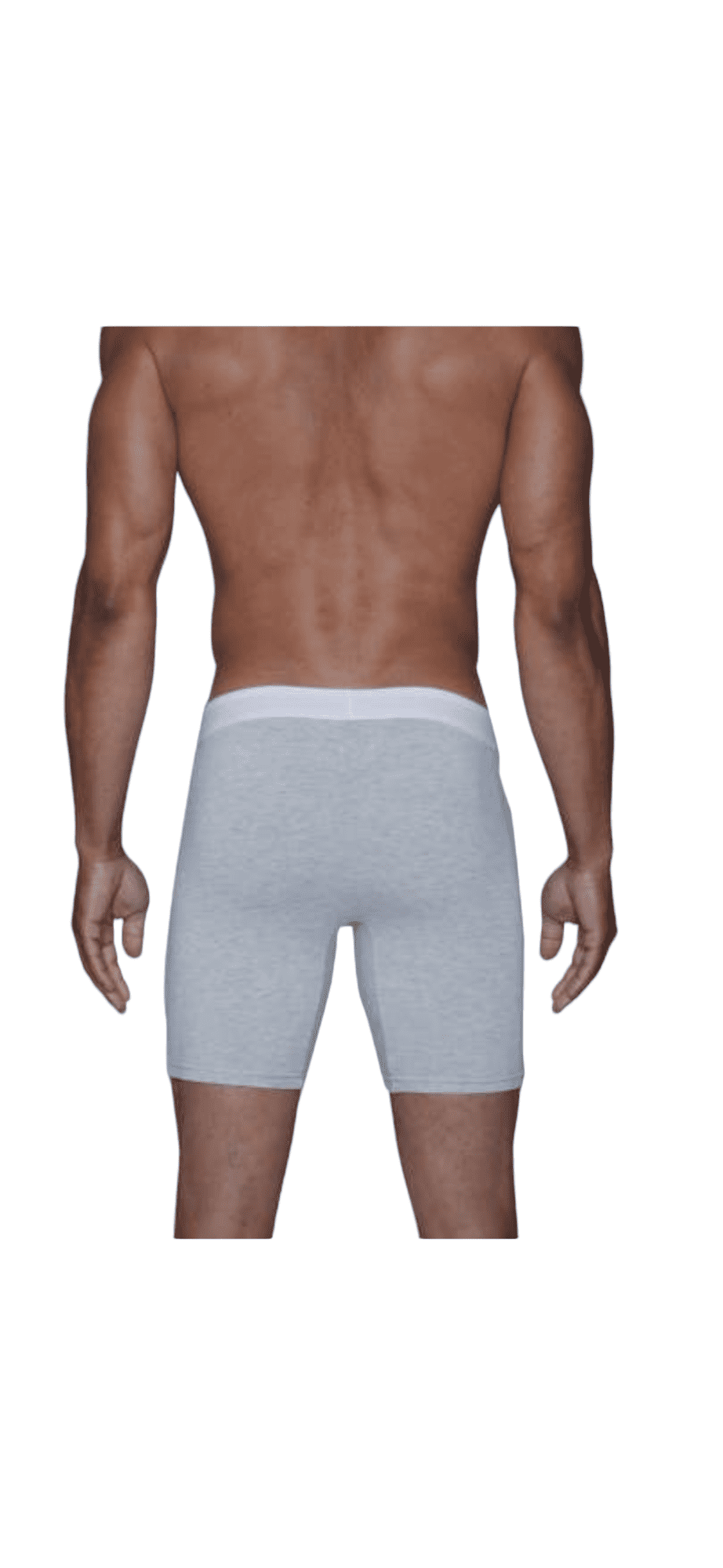 Wood Premium Biker Brief Heather Grey — Genuine Design Luxury Consignment Calgary, Alberta, Canada New and Pre-Owned Clothing, Shoes, Accessories.