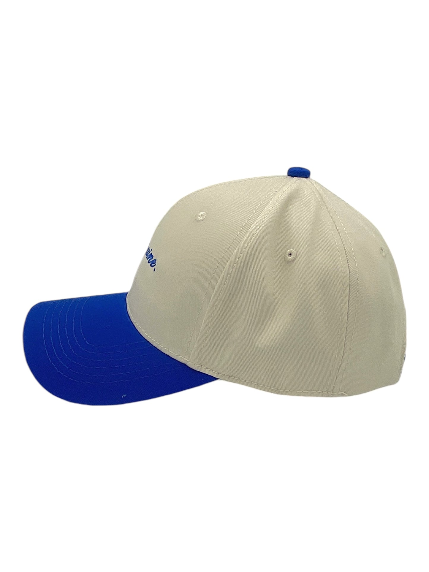 Genuine Design Two Tone Dad Cap