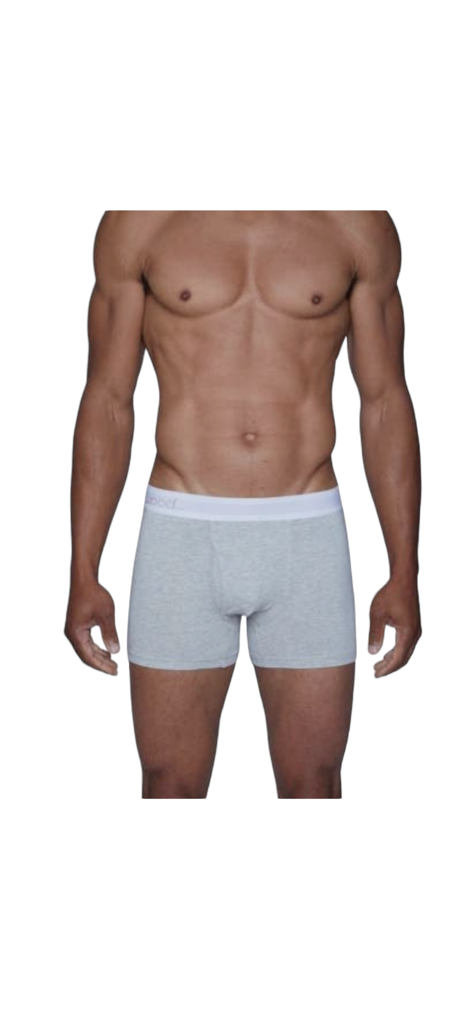 Wood Premium Boxer Brief Heather Grey — Genuine Design Luxury Consignment Calgary, Alberta, Canada New and Pre-Owned Clothing, Shoes, Accessories.