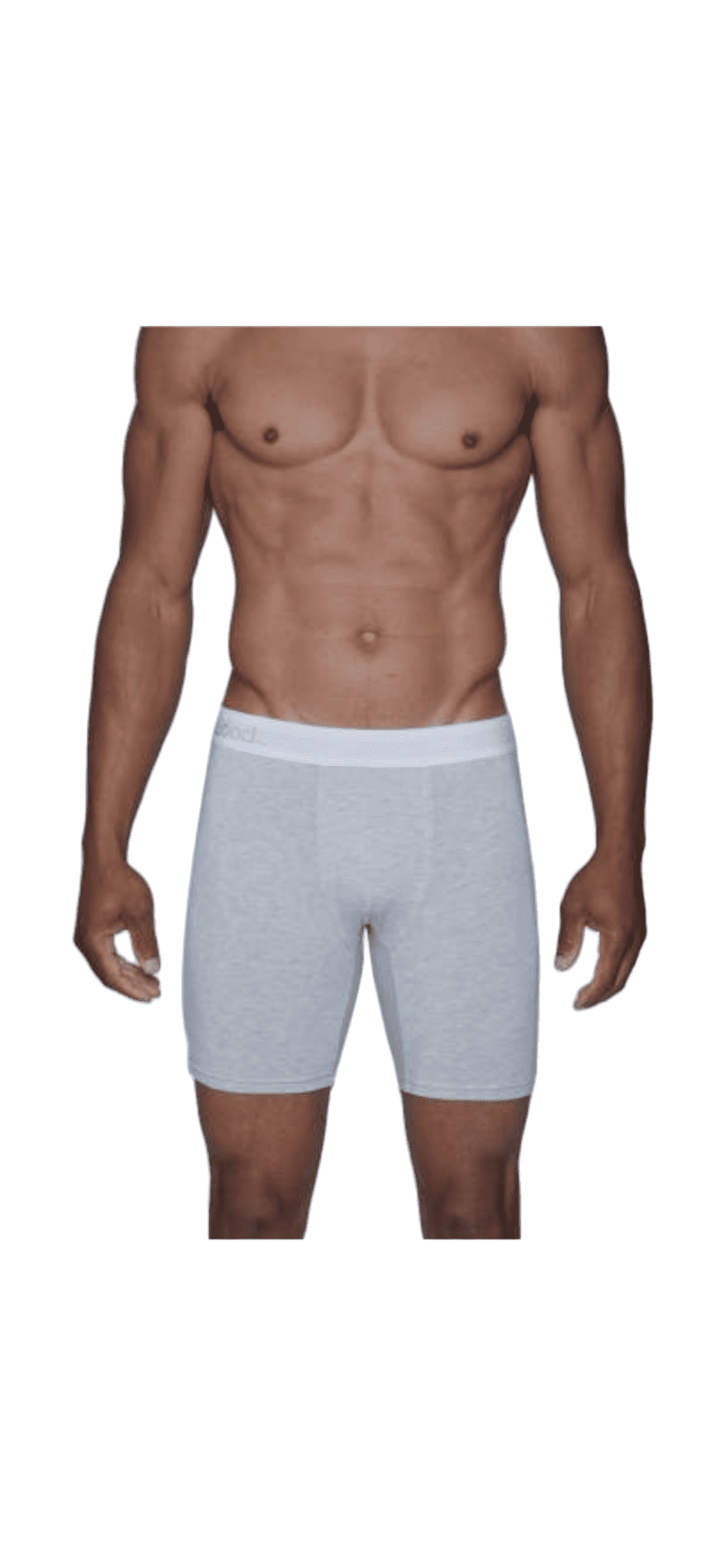 Wood Premium Biker Brief Heather Grey — Genuine Design Luxury Consignment Calgary, Alberta, Canada New and Pre-Owned Clothing, Shoes, Accessories.